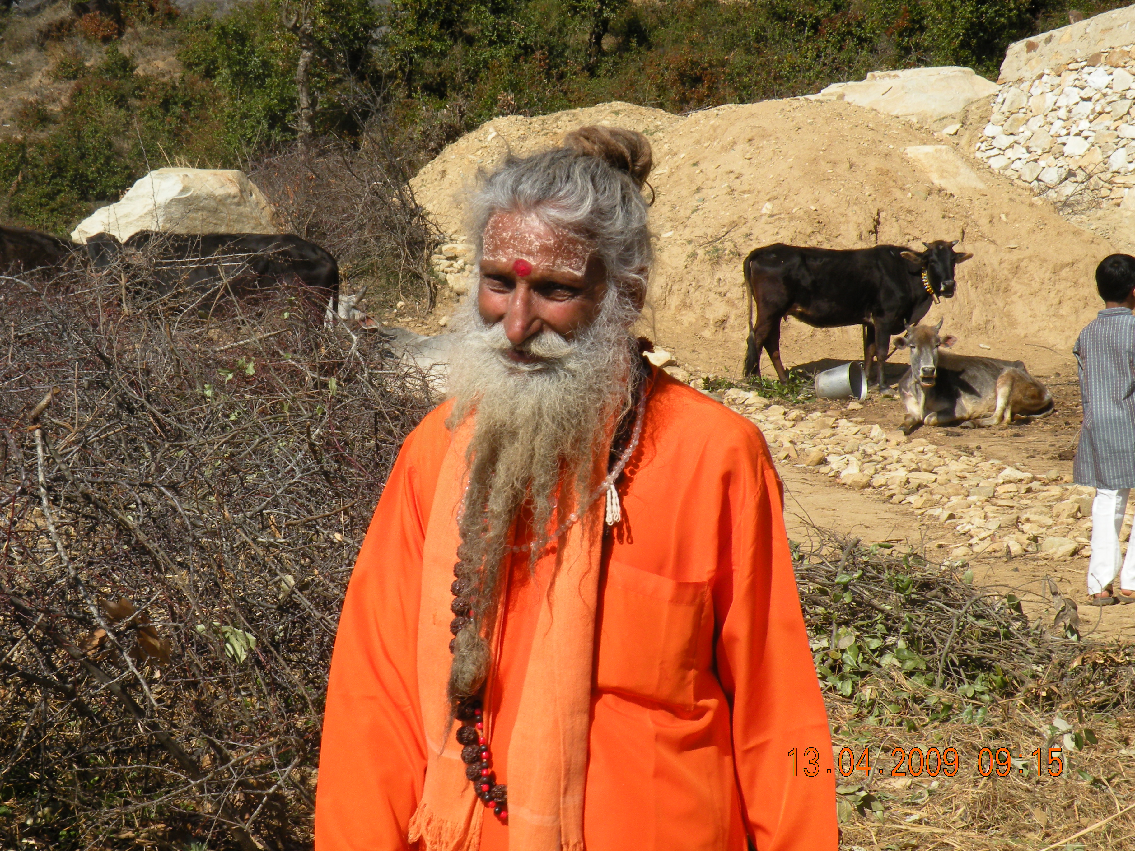 Maharaj Ji at the Gaushala with cows