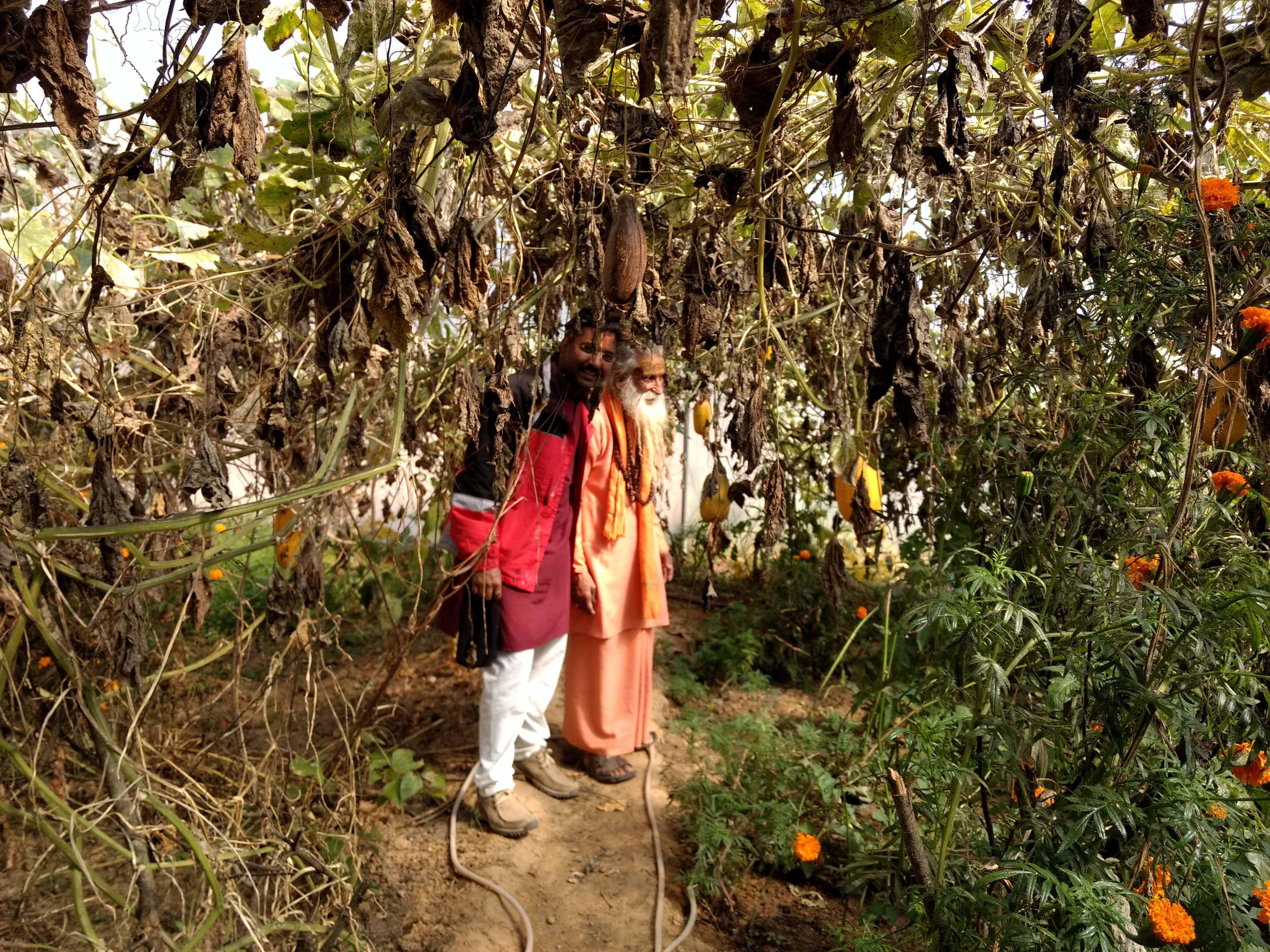 Organic Garden Visitor