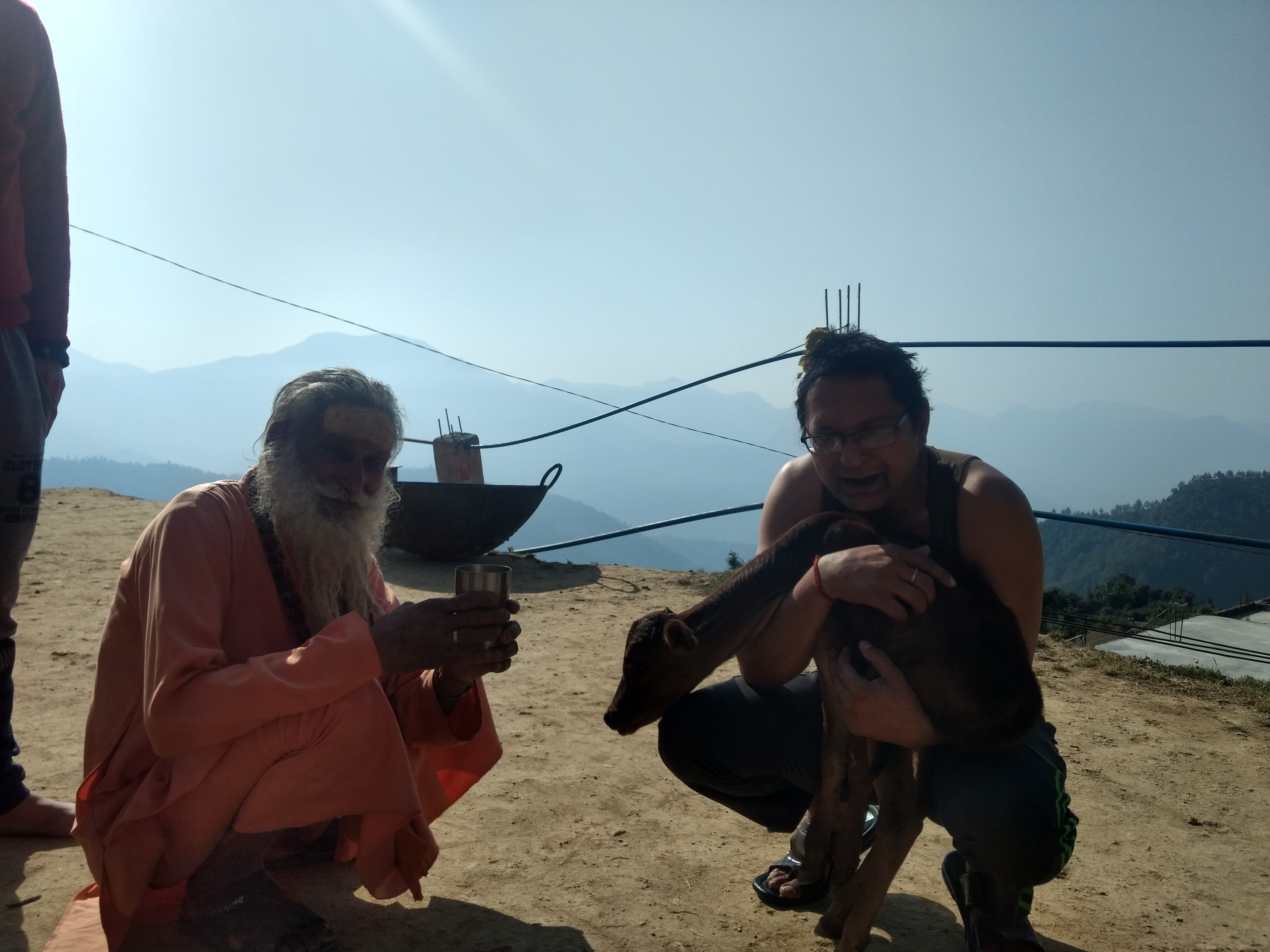 Visitor with Maharaj Ji and calf