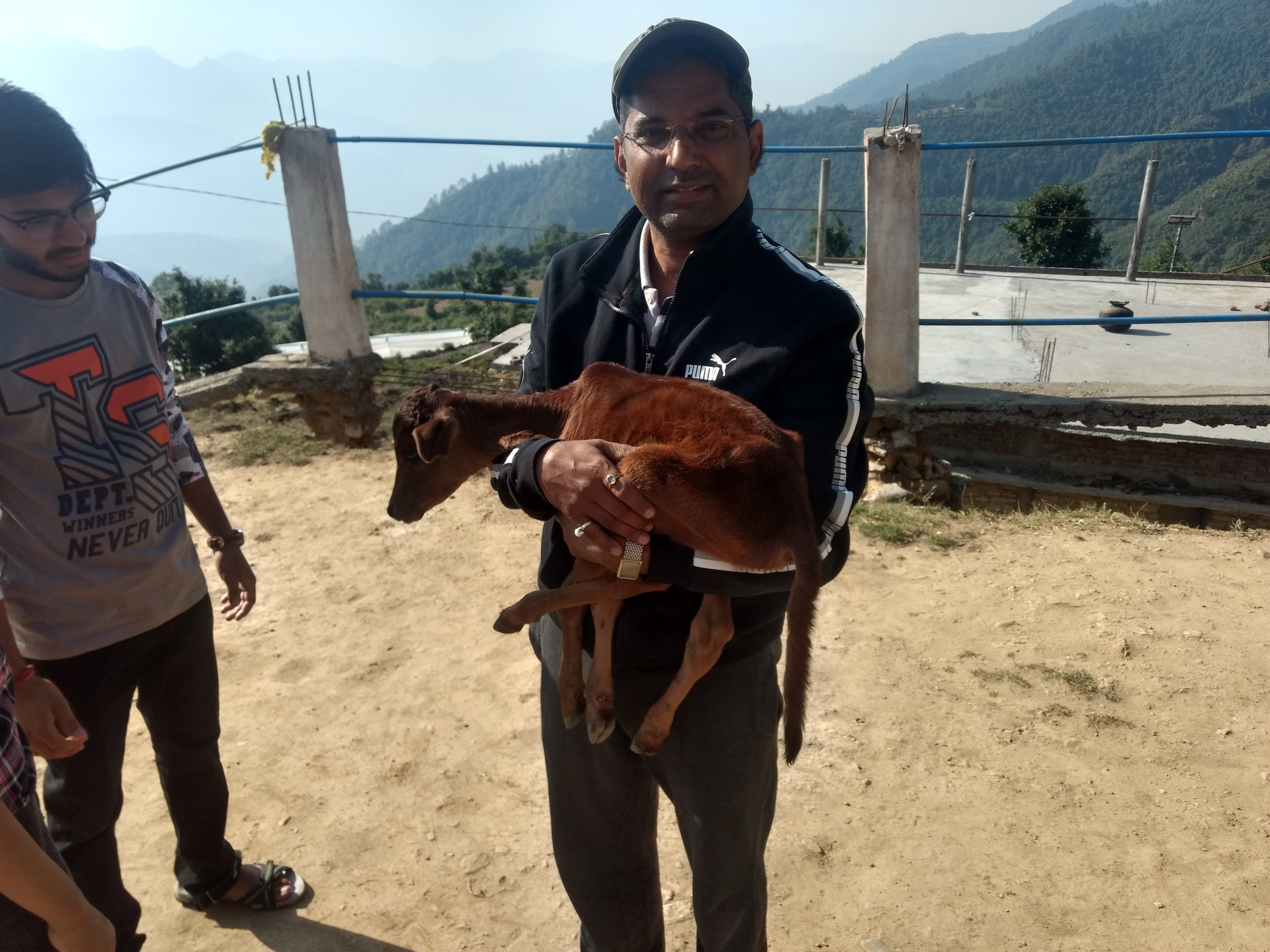 Visitor holding a calf at Gaushala