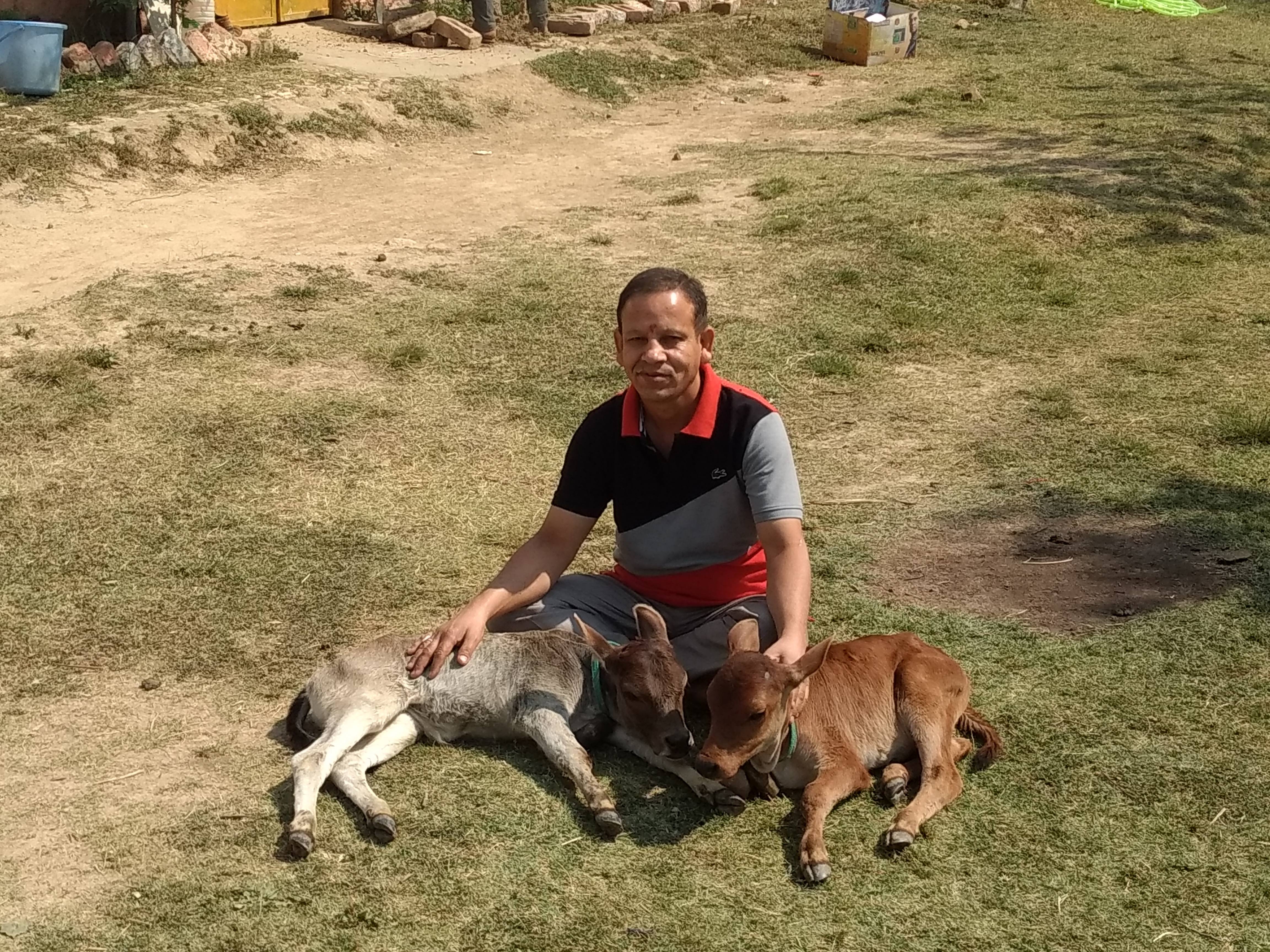 Cow Shelter (Gao Sewa)